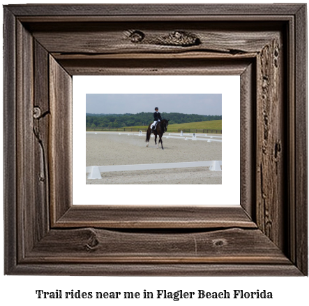 trail rides near me in Flagler Beach, Florida